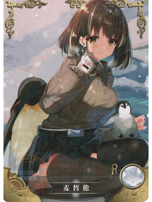 Magallan - NS-2M16-03 - R