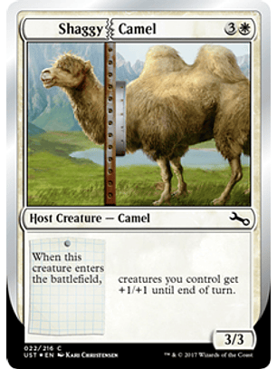 Shaggy Camel - UST - C 