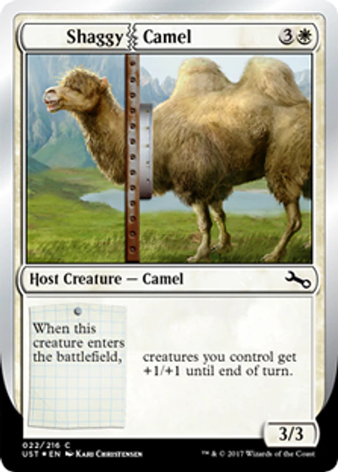 Shaggy Camel - UST - C 