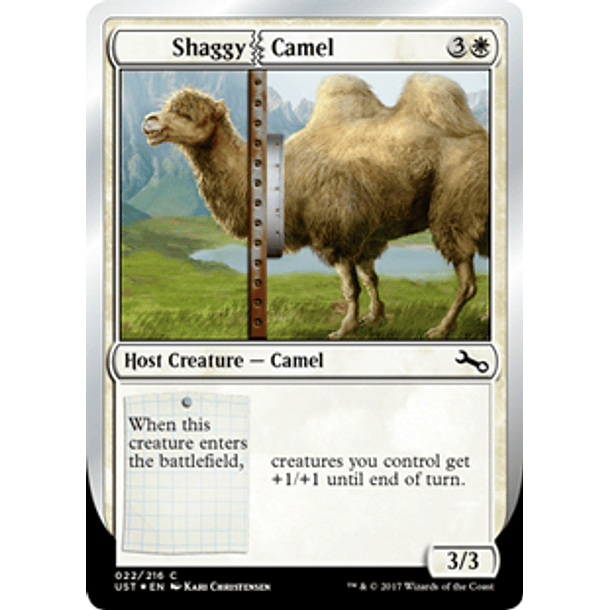 Shaggy Camel - UST - C 