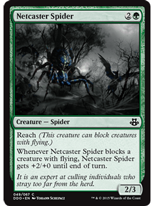 Netcaster Spider - DDO - C