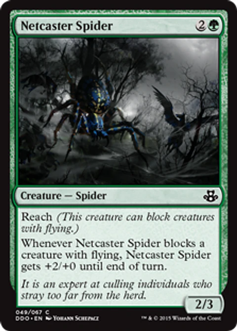 Netcaster Spider - DDO - C