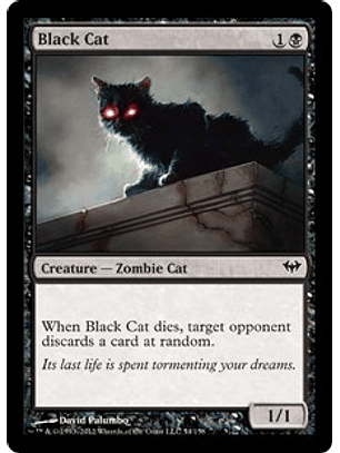 Black Cat - DKA - C 