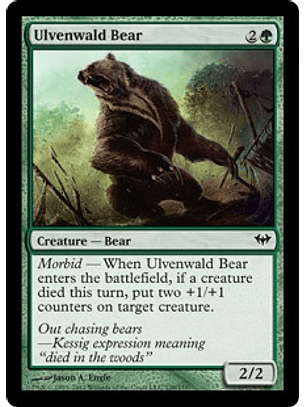 Ulvenwald Bear - DKA - C 