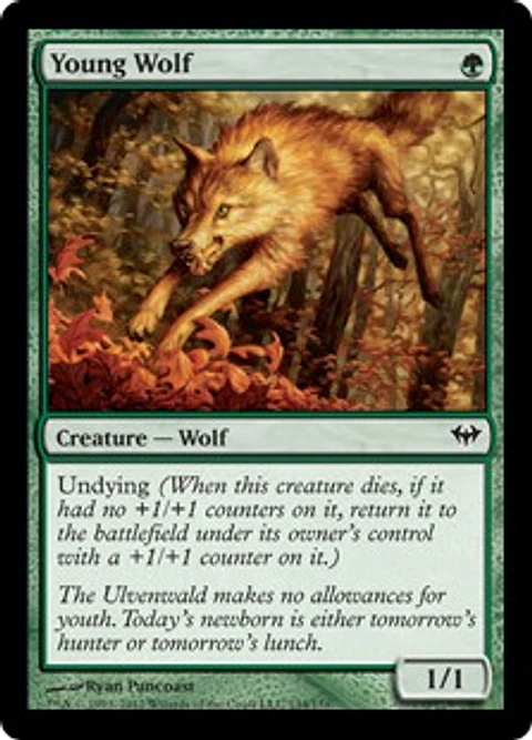Young Wolf - DKA - C 