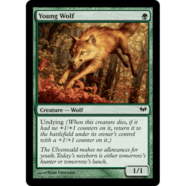 Young Wolf - DKA - C 