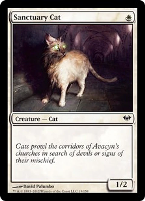 Sanctuary Cat - DKA - C 