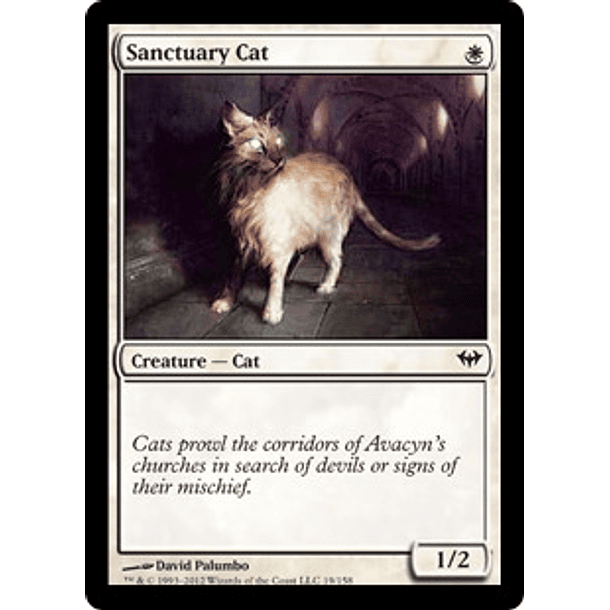 Sanctuary Cat - DKA - C 