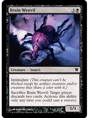 Brain Weevil - INS - C 