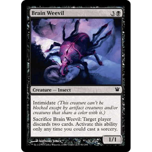 Brain Weevil - INS - C  1