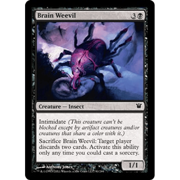 Brain Weevil - INS - C 