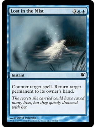 Lost in the Mist - INS - C 