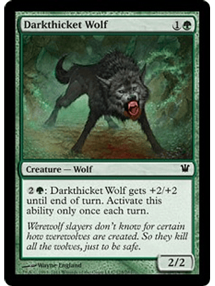 Darkthicket Wolf - INS - C 