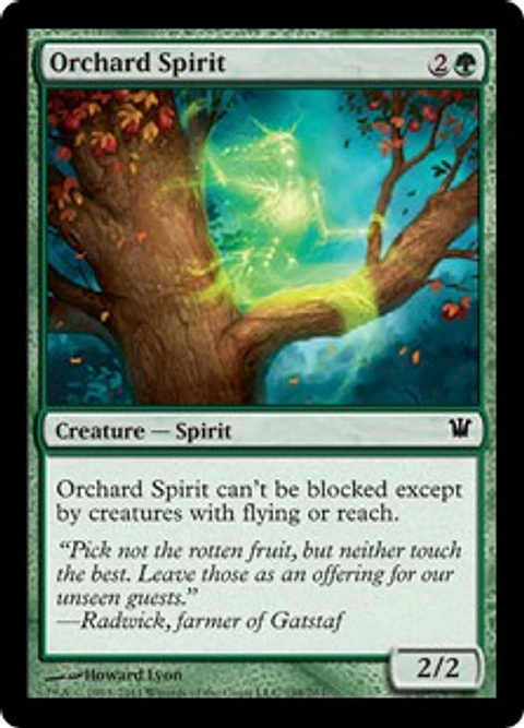 Orchard Spirit - INS - C 