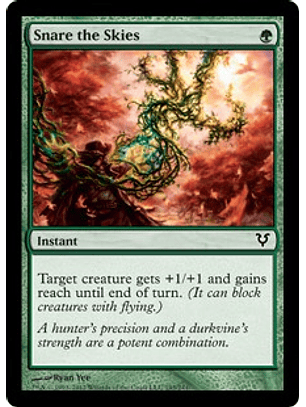 Snare the Skies - ARS - C 