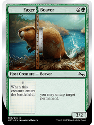 Eager Beaver - UST - C 