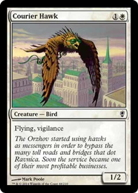 Courier Hawk - CONS - C 