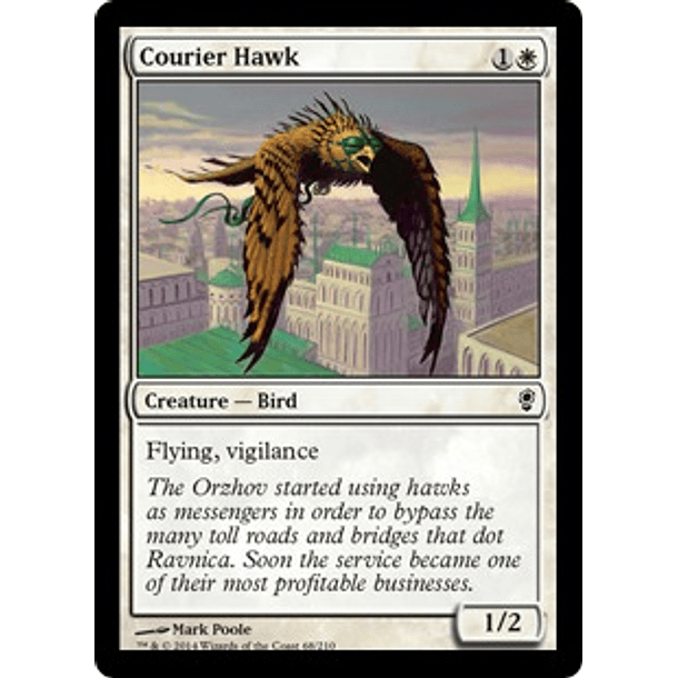 Courier Hawk - CONS - C 