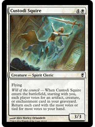 Custodi Squire - CONS - C 
