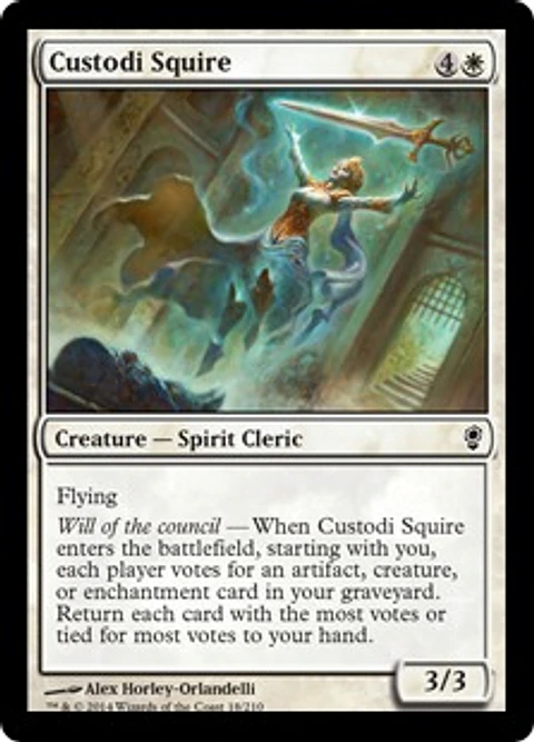 Custodi Squire - CONS - C 