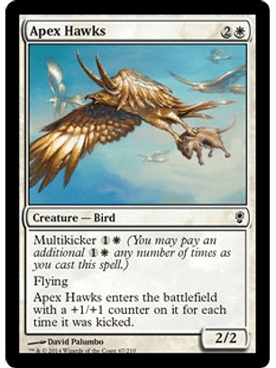 Apex Hawks - CONS - C 