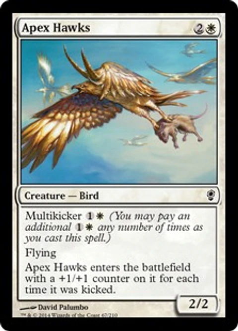 Apex Hawks - CONS - C 
