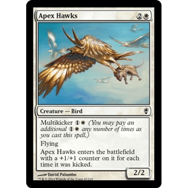Apex Hawks - CONS - C 