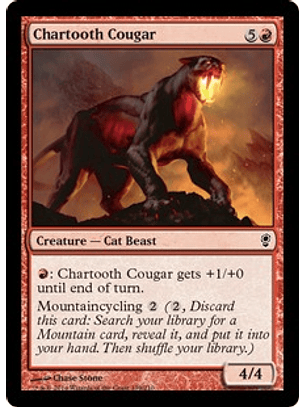 Chartooth Cougar - CONS - C 