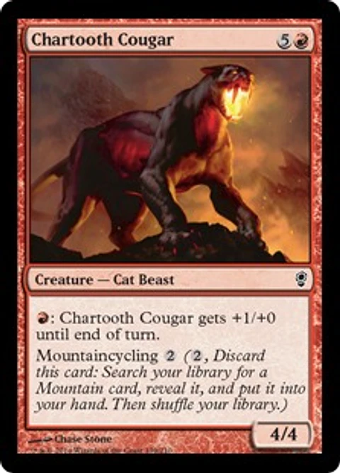 Chartooth Cougar - CONS - C 