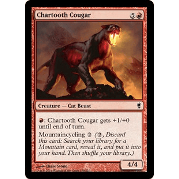 Chartooth Cougar - CONS - C 