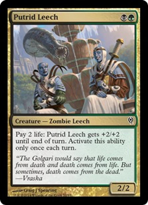 Putrid Leech - JVV - C 