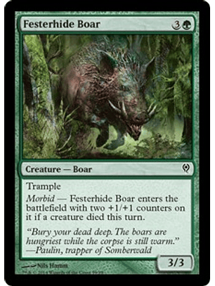 Festerhide Boar - JVV - C 