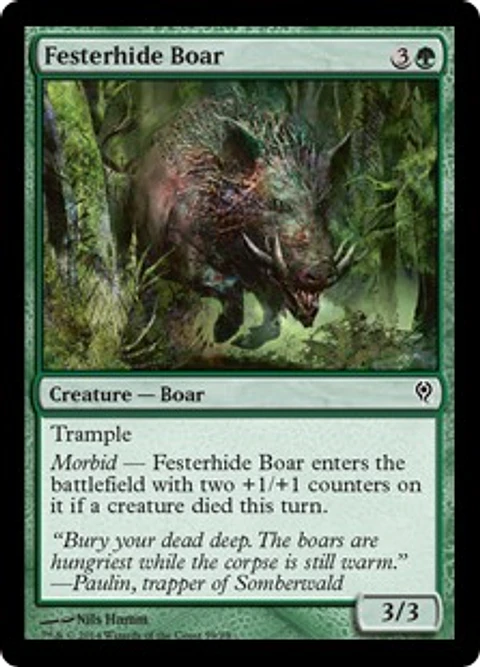 Festerhide Boar - JVV - C 