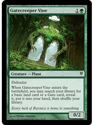 Gatecreeper Vine - JVV - C 