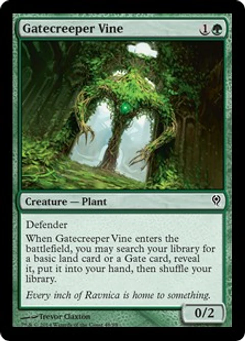 Gatecreeper Vine - JVV - C 