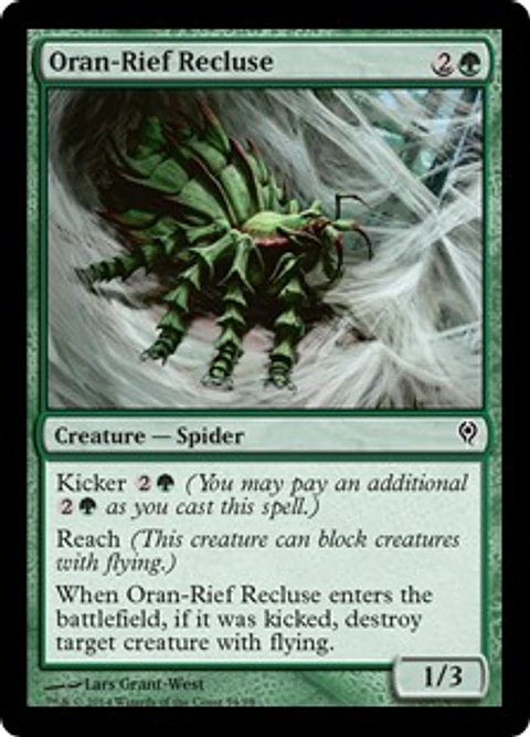 Oran-Rief Recluse - JVV - C 