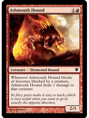 Ashmouth Hound - INS - C 