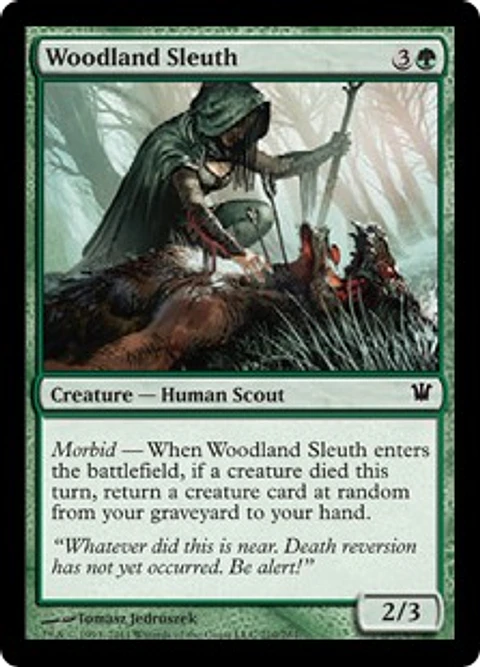 Woodland Sleuth - INS - C 