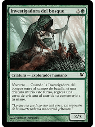 Woodland Sleuth - INS - C 