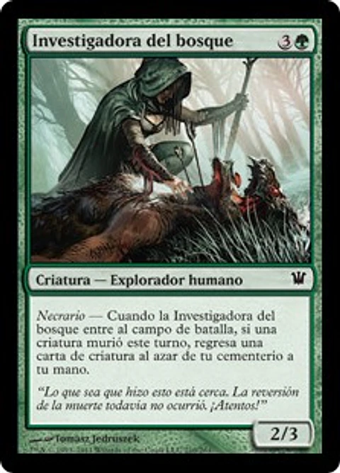 Woodland Sleuth - INS - C 