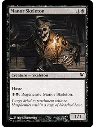 Manor Skeleton - INS - C 