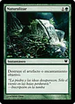 Naturalize - INS - C  - thumbnail 2