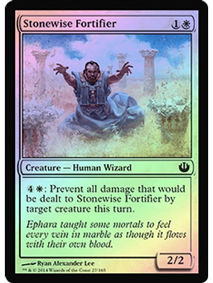 Stonewise Fortifier - JOU - C ★