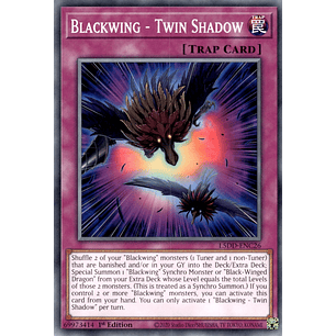 Blackwing - Twin Shadow - L5DD-ENC26 - Common 