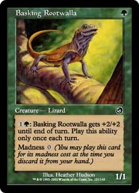 Basking Rootwalla - TMT - C 