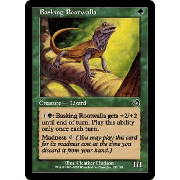 Basking Rootwalla - TMT - C 