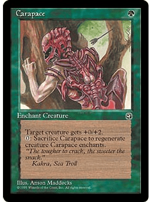 Carapace (Arrow) - HML - C 