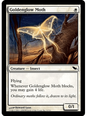 Goldenglow Moth - SDM - C 