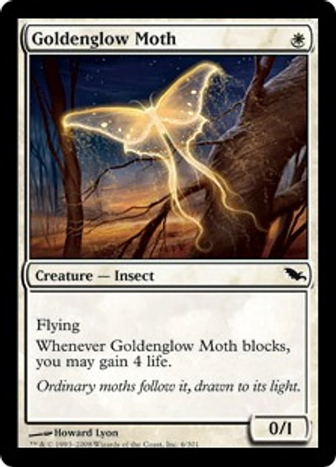 Goldenglow Moth - SDM - C 