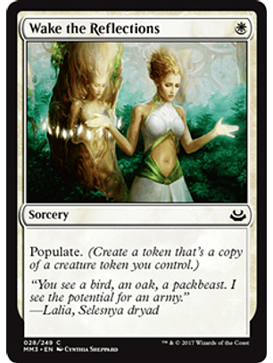 Wake the Reflections - MM17 - C 